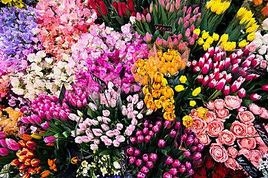 PS+二档会免游戏泄露 《FF7RE》《刺客信条系列》等