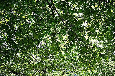 《天国：拯救2》官方Mod支持将在未来两周内上线